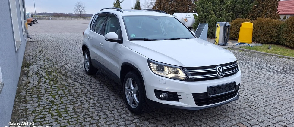 Volkswagen Tiguan cena 44999 przebieg: 180000, rok produkcji 2011 z Jawor małe 704